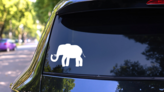 Elephant Wlaking Sticker on a Rear Car Window (New) example