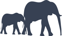 Elephants Sticker