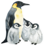 Emperor Penguins With Children Isolated Huddled Sticker