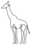 Endless Line Art Illustration Of Giraffe Sticker
