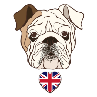 English Bulldog Face With Heart Flag Uk Sticker