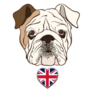 English Bulldog Face With Heart Flag Uk Sticker