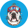 English Bulldog In Winter Hat And Ski Goggles Sticker