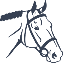 English Horse Head Sticker