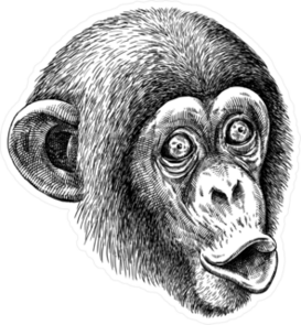 Engraved Monkey Sticker