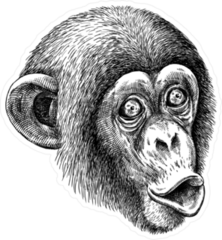 Engraved Monkey Sticker