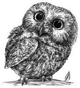 Engraved Owl With Huge Eyes Illustration Sticker