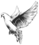Engraved Style Illustration Of Dove Sticker