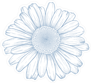 Engraving Style Blue Daisy Sticker