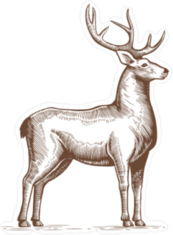 Engraving Style Deer Sticker