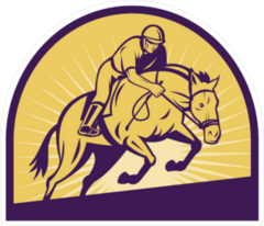 Equestrian Show Jumping Sticker