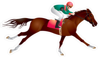 Equestrian Sport Horse And Rider Sticker