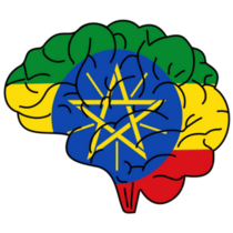 Ethiopia Flag Brain Sticker