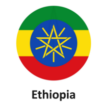 Ethiopia Flag Logo Sticker