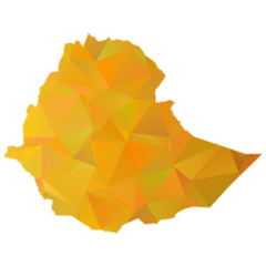 Ethiopia Gold Polygonal Sticker
