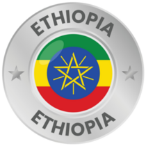 Ethiopia Silver Coin Sticker