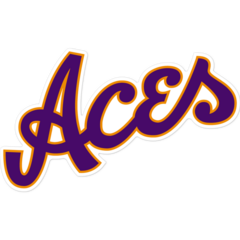 Evansville Purple Aces NCAA Logo Sticker