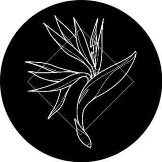 Exotic And Modern Bird Of Paradise Icon Sticker