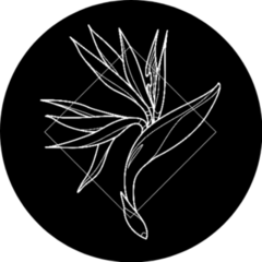 Exotic And Modern Bird Of Paradise Icon Sticker