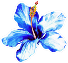 Exotic Blue Hibiscus Watercolor Sticker