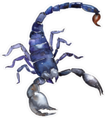 Exotic Blue Watercolor Scorpion Sticker