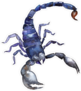 Exotic Blue Watercolor Scorpion Sticker