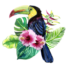Exotic Leaves And Flowers With Toucan Sticker