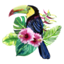Exotic Leaves And Flowers With Toucan Sticker