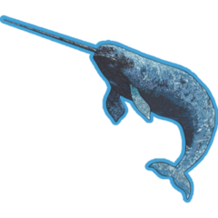 Exotic Narwhal On Blue Sticker