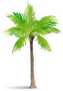 Exotic Palm Sticker