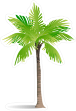 Exotic Palm Sticker