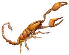 Exotic Red Watercolor Scorpion Sticker