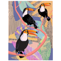 Exotic Toucan Birds Colorful Sticker