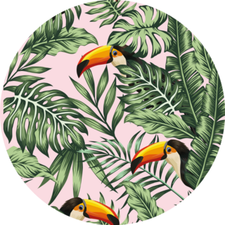 Exotic Tropical Green Jungle Palm, Monstera Leaves With Toucan Sticker