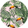 Exotic Tropical Green Jungle Palm, Monstera Leaves With Toucan Sticker