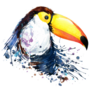 Exotic Wildlife Toucan Sticker
