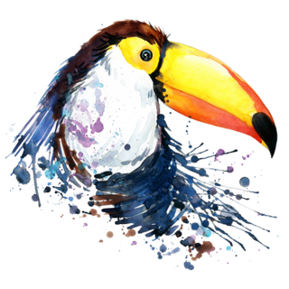 Exotic Wildlife Toucan Sticker