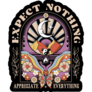 Expect Nothing Appreciate Everything Sticker