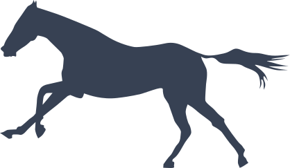 Exquisite Horse Sticker