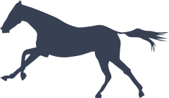 Exquisite Horse Sticker