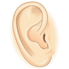 External Of Human Ear Color Sketch Sticker