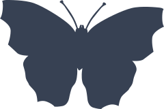 Extraordinary Butterfly Sticker