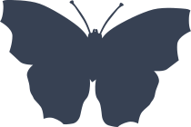 Extraordinary Butterfly Sticker