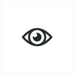 Eye Icon Flat Sticker