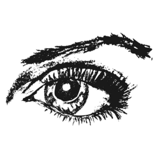Eye Sketch Hand Drawn Woman Sticker