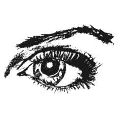 Eye Sketch Hand Drawn Woman Sticker