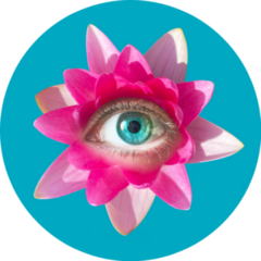 Eyeball In Flower Modern Conceptual Sticker