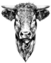 Face Cow Sketch Art Sticker