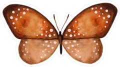 Faded Orange & Black Watercolor Butterfly Sticker
