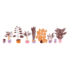 Fall Colors Inspired Row of Beautiful House Plants Sticker